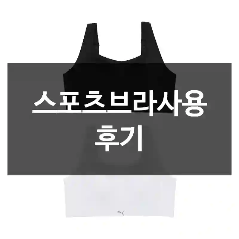 스포츠브라사용 후기