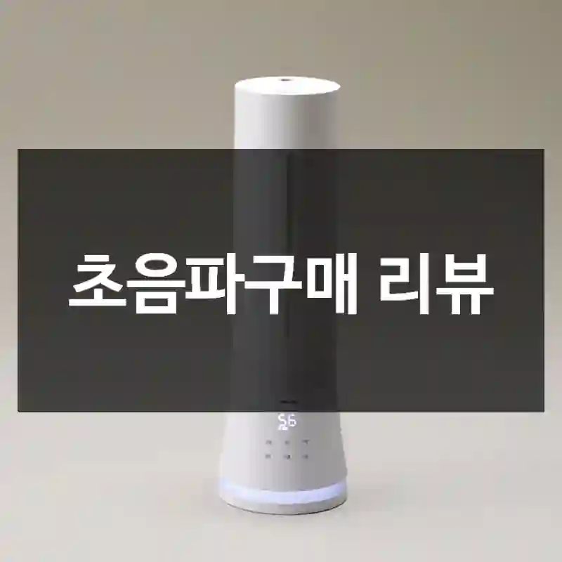 초음파구매 리뷰