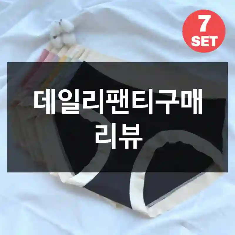 데일리팬티구매 리뷰