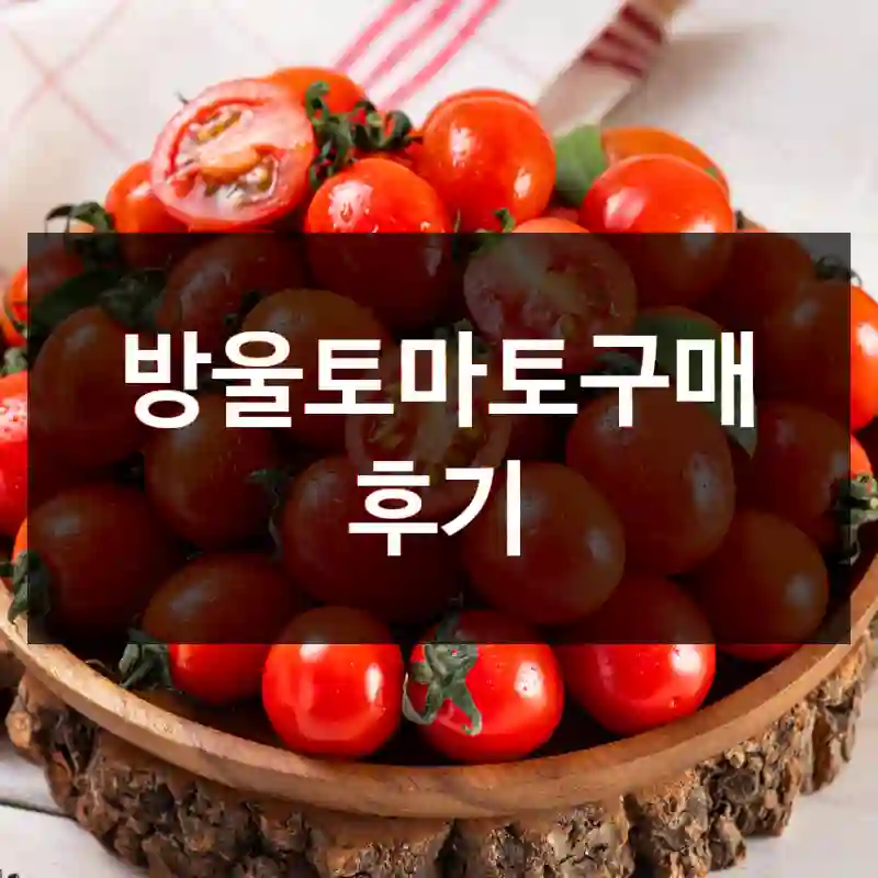 방울토마토구매 후기