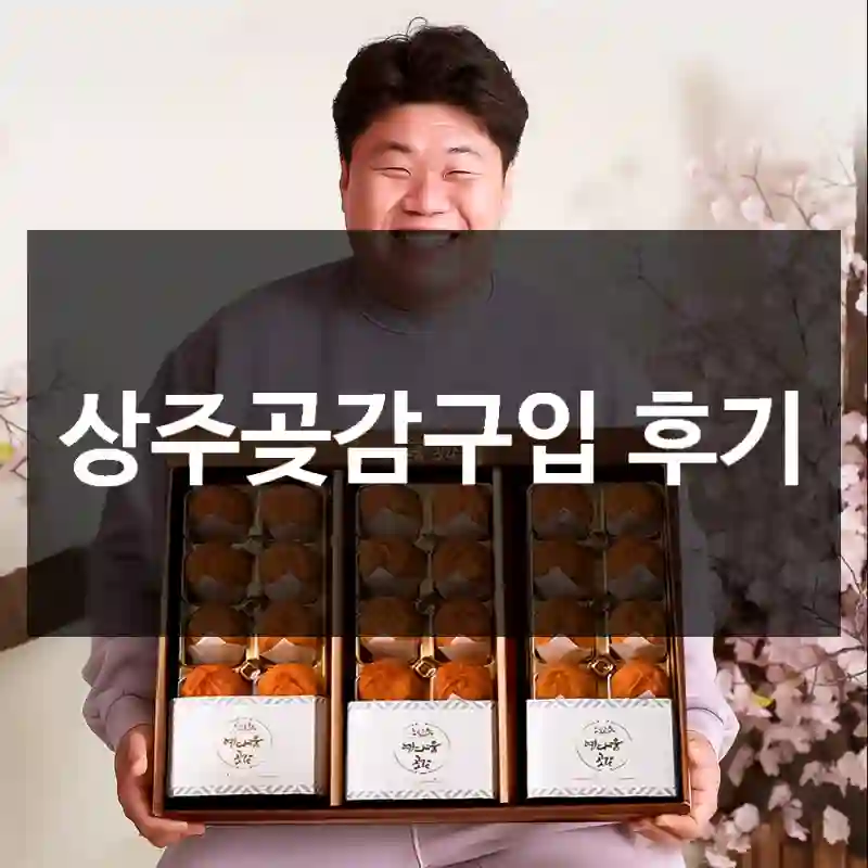 상주곶감구입 후기
