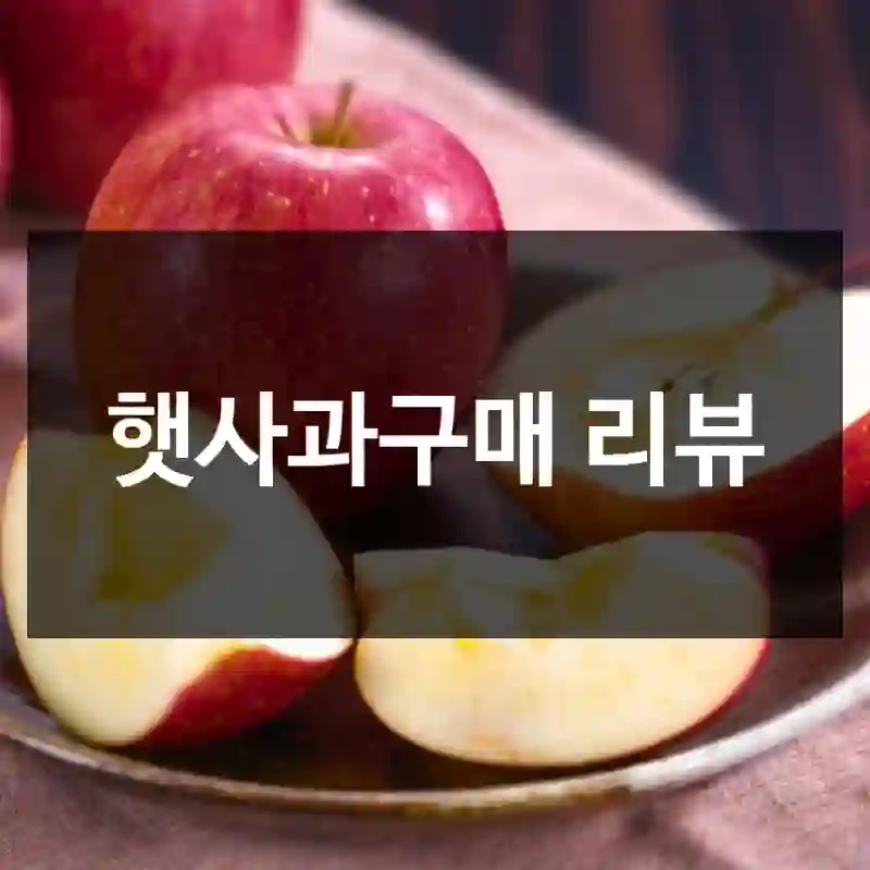 햇사과구매 리뷰