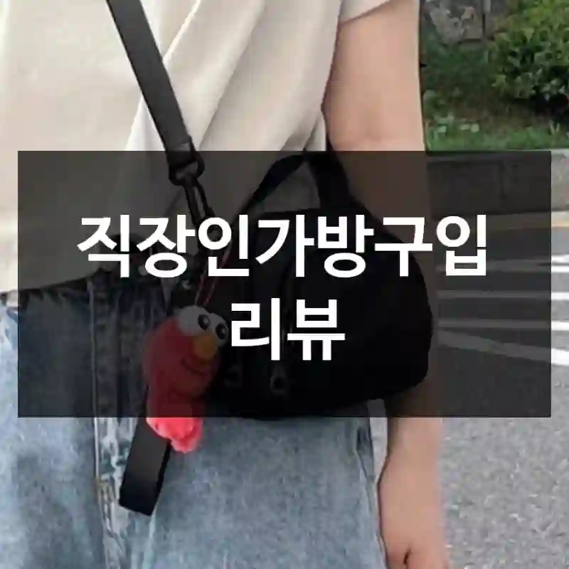 직장인가방구입 리뷰