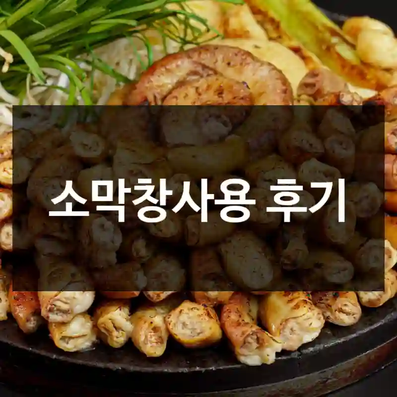 소막창사용 후기