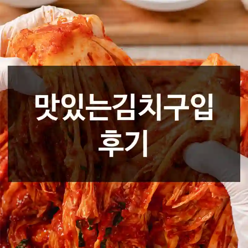 맛있는김치구입 후기