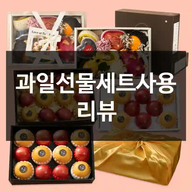 과일선물세트사용 리뷰