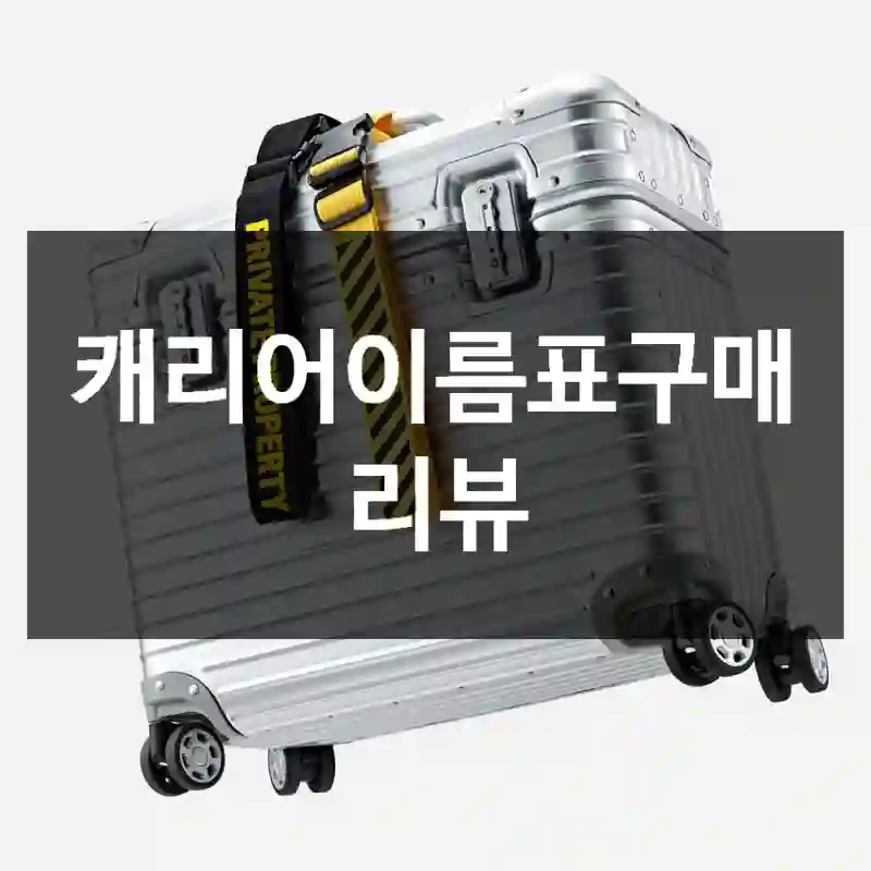 캐리어이름표구매 리뷰