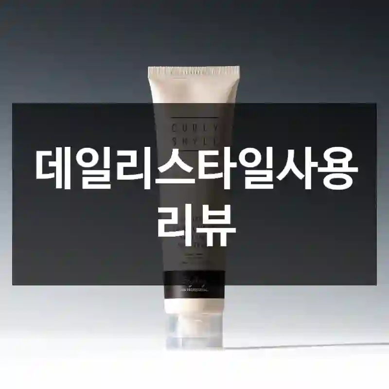 데일리스타일사용 리뷰