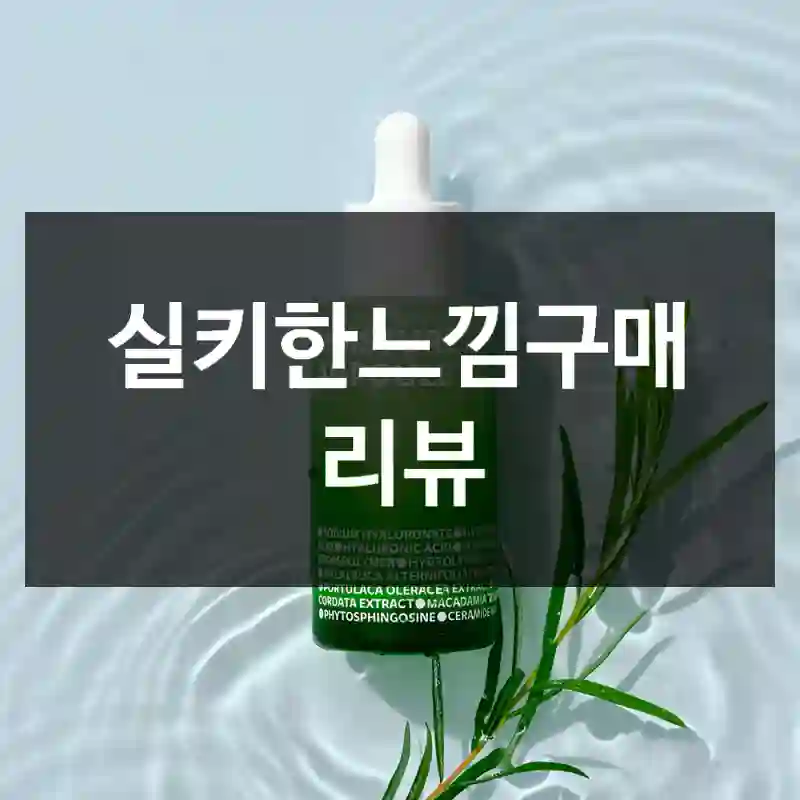 실키한느낌구매 리뷰