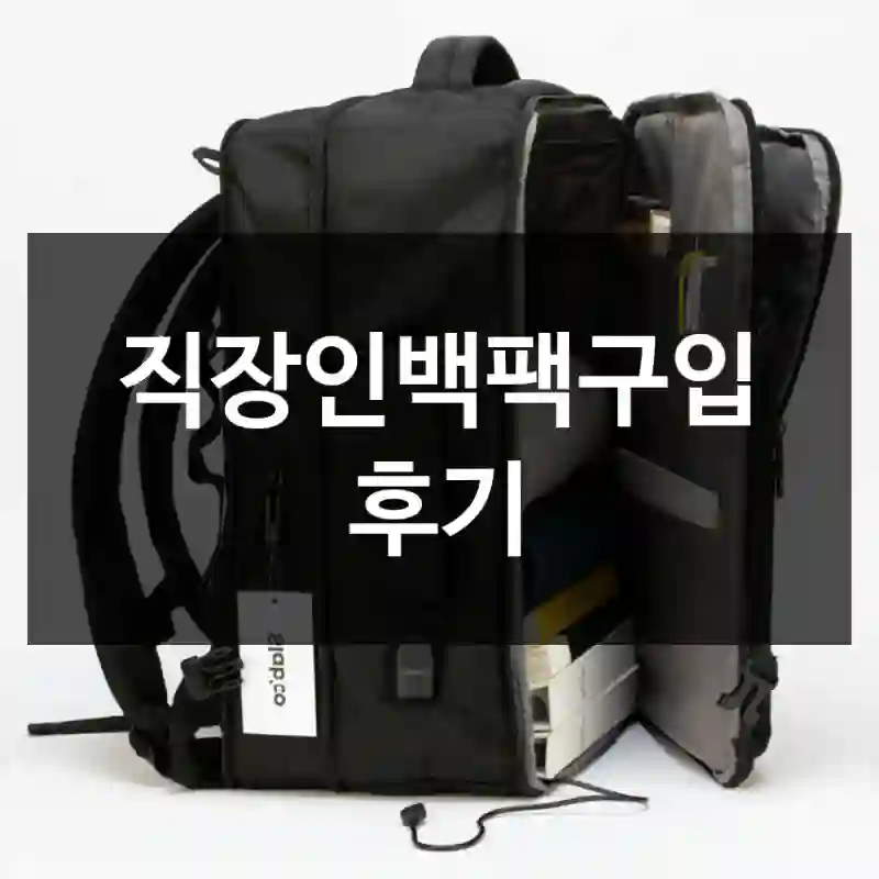 직장인백팩구입 후기