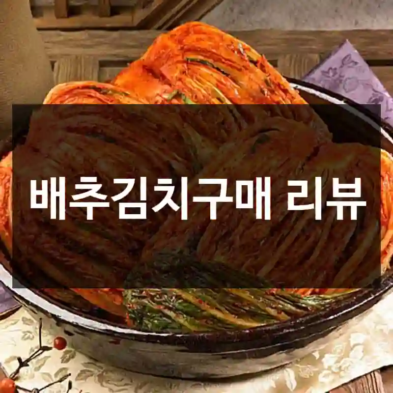 배추김치구매 리뷰