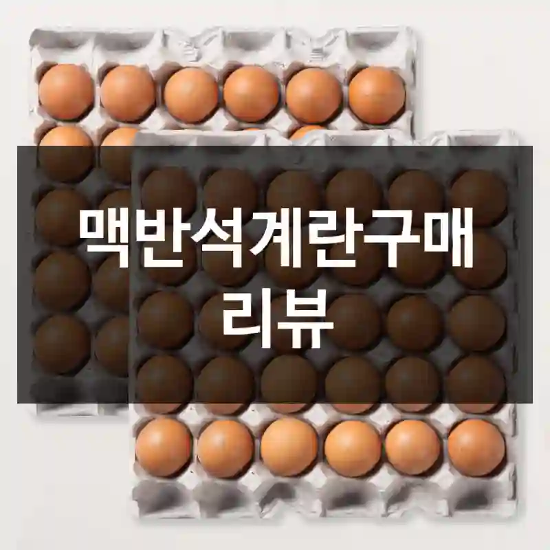 맥반석계란구매 리뷰