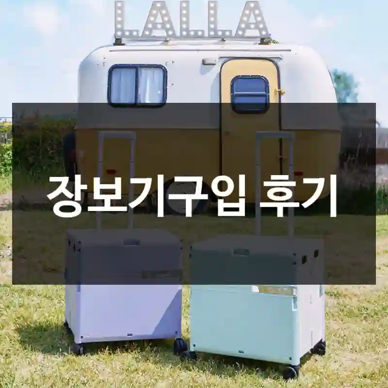 장보기구입 후기