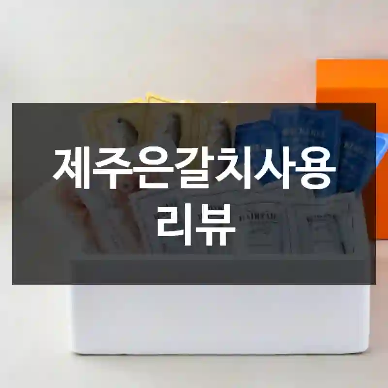 제주은갈치사용 리뷰