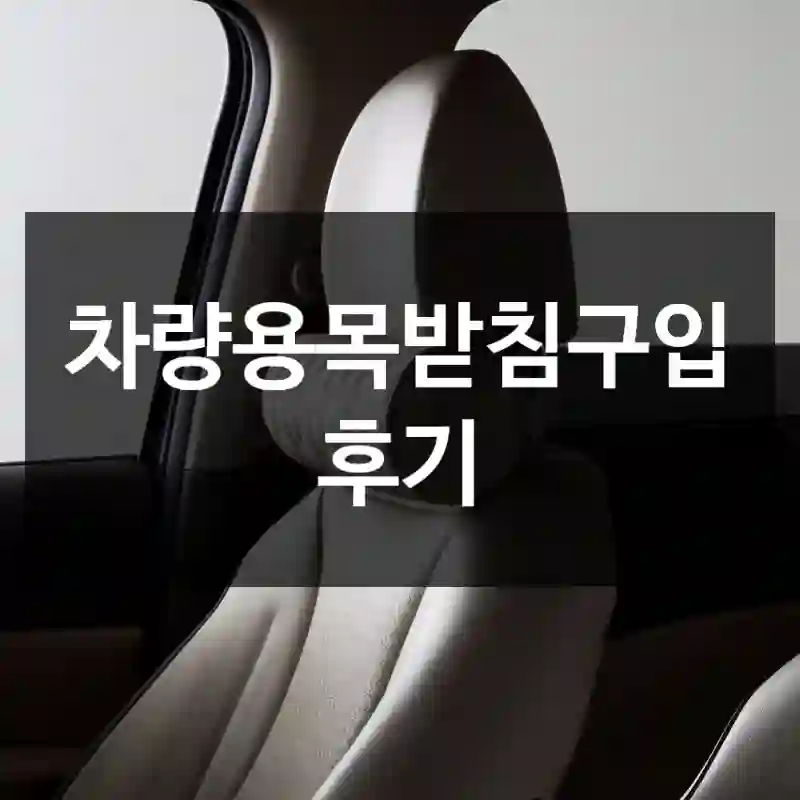 차량용목받침구입 후기