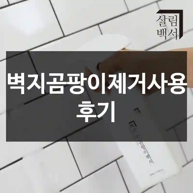 벽지곰팡이제거사용 후기