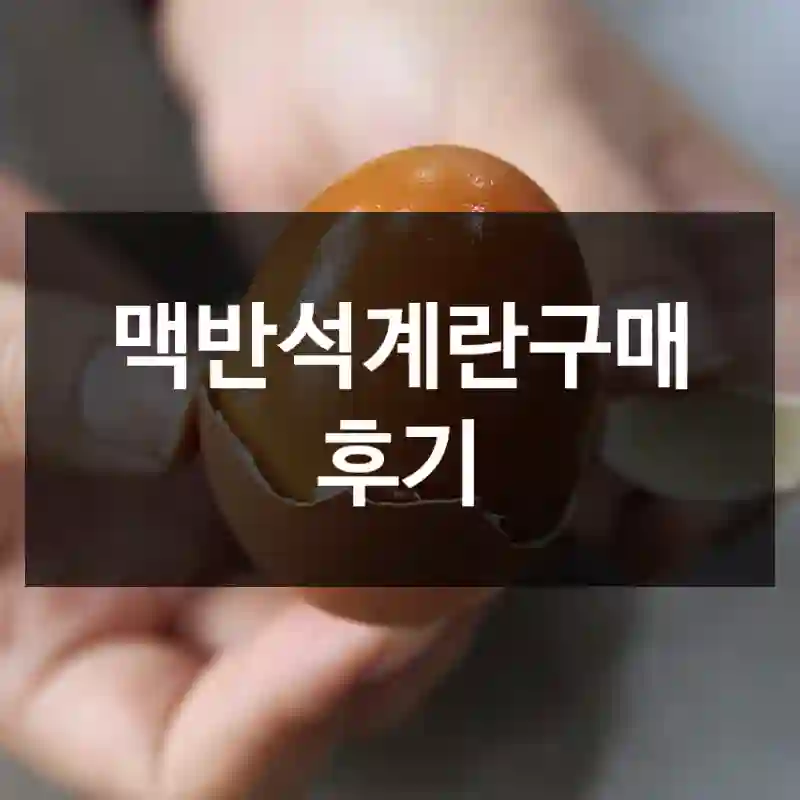 맥반석계란구매 후기