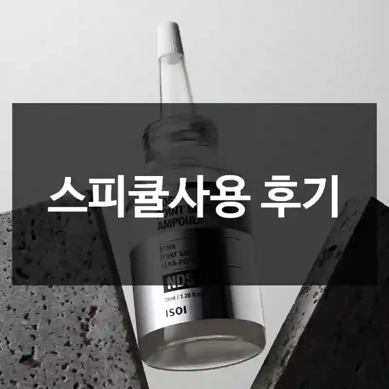 스피큘사용 후기