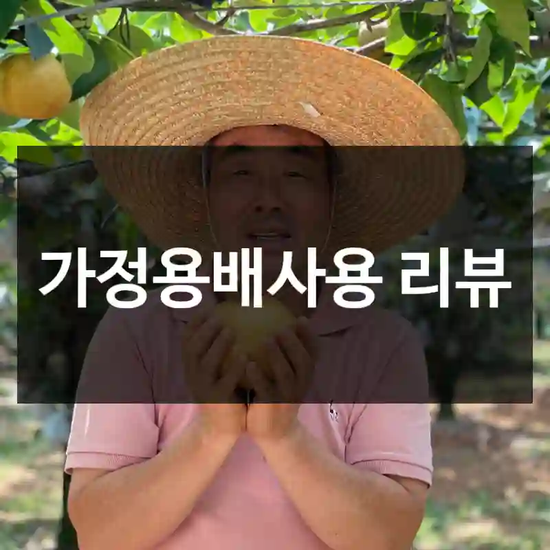 가정용배사용 리뷰