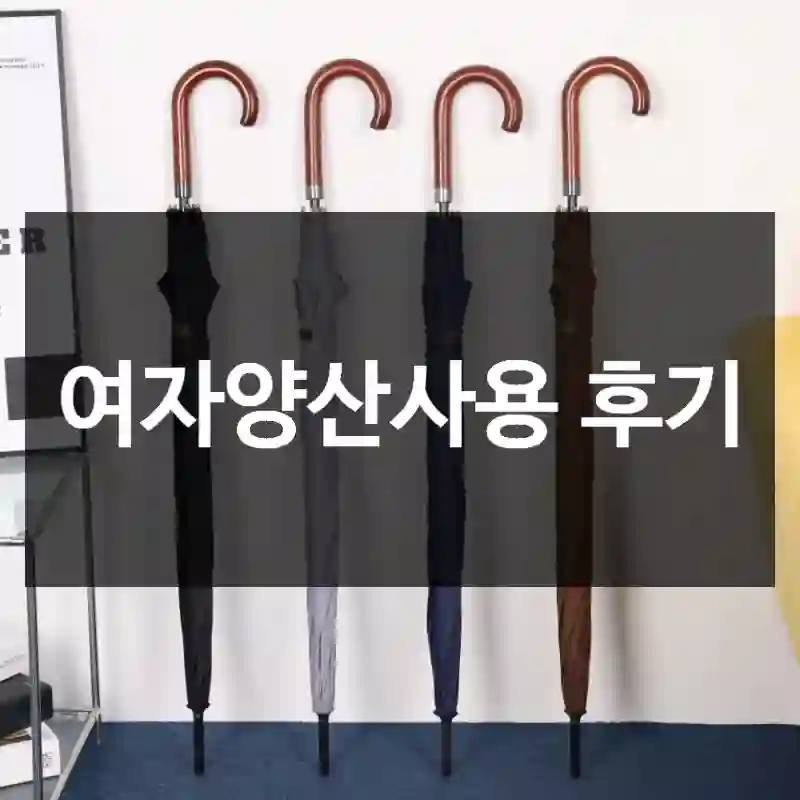 여자양산사용 후기