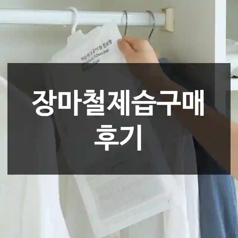 장마철제습구매 후기