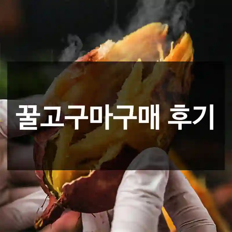 꿀고구마구매 후기