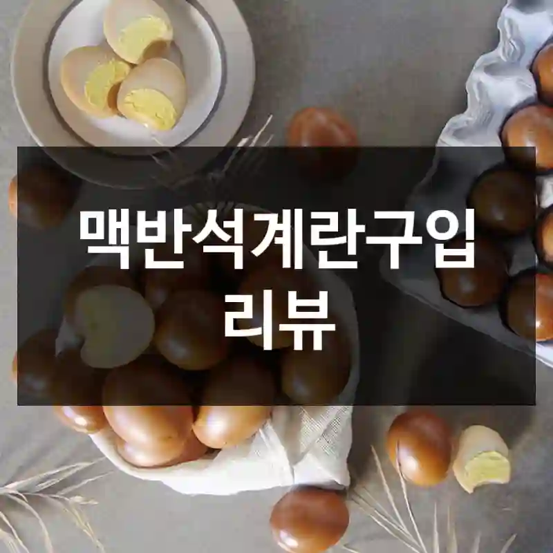맥반석계란구입 리뷰