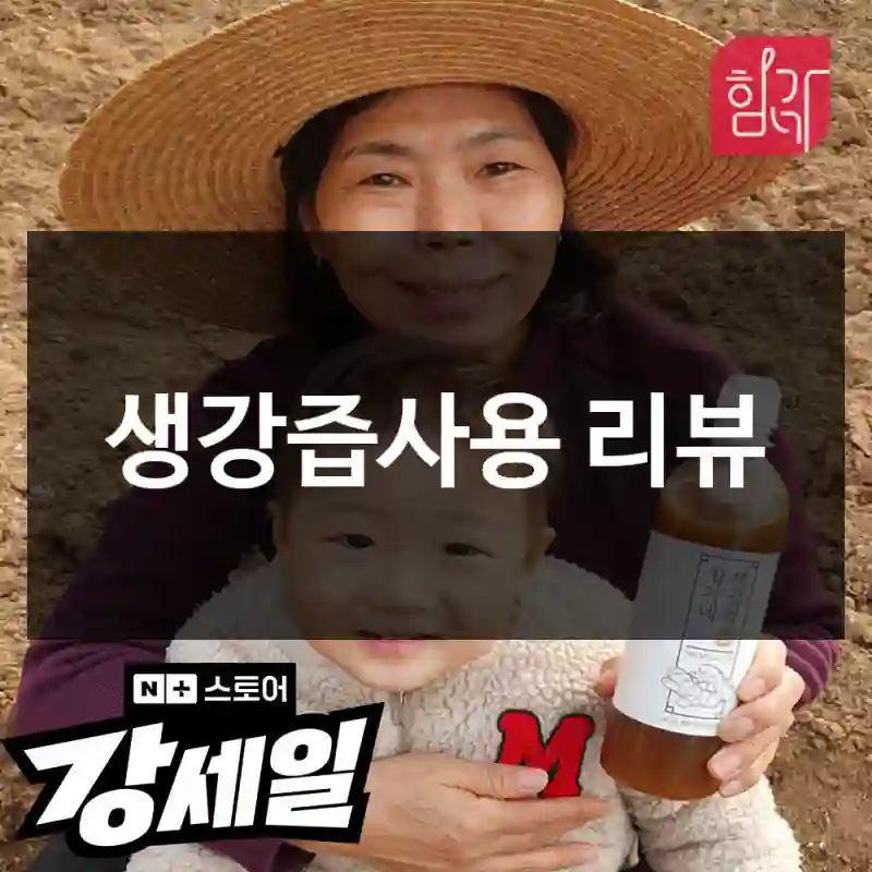 생강즙사용 리뷰