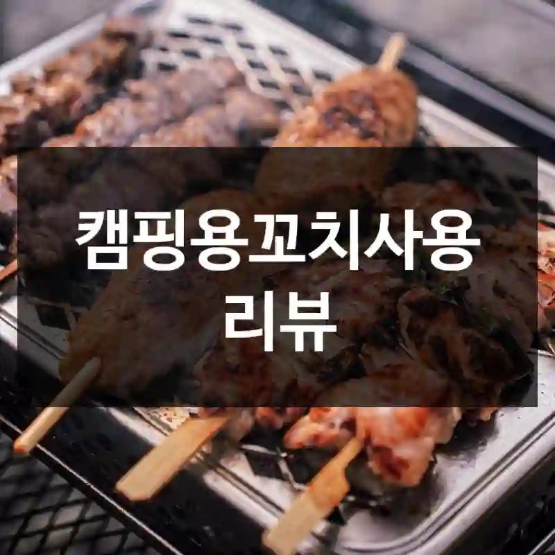 캠핑용꼬치사용 리뷰