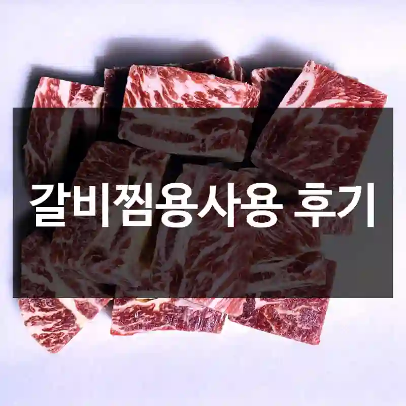갈비찜용사용 후기