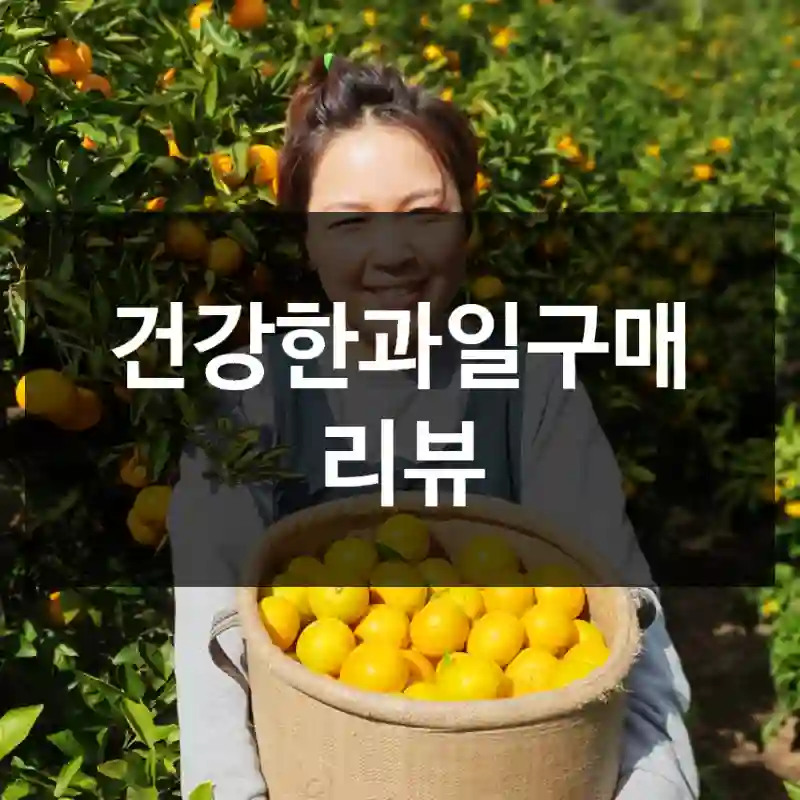 건강한과일구매 리뷰