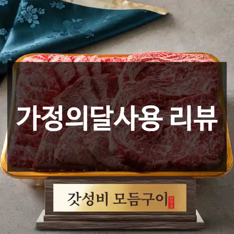 가정의달사용 리뷰