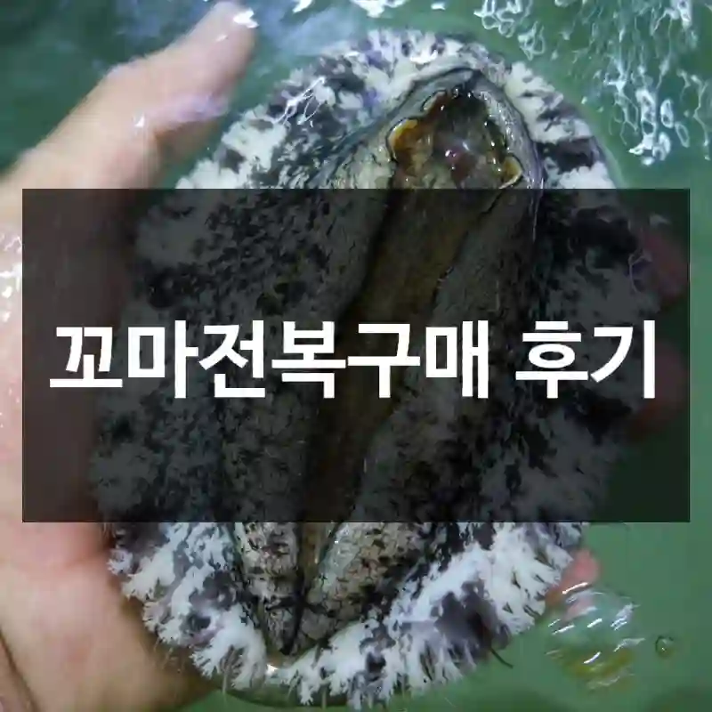 꼬마전복구매 후기