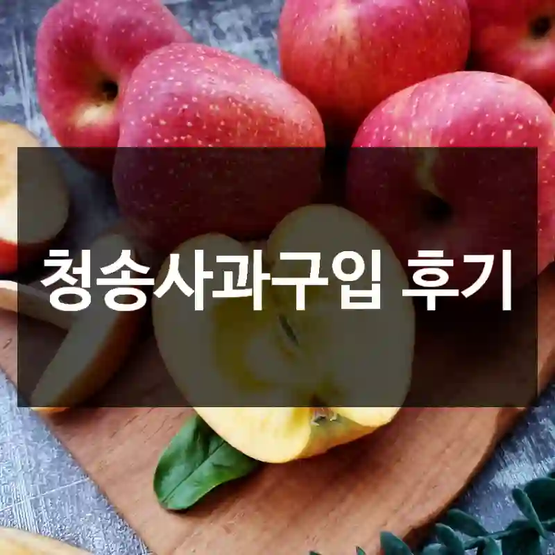 청송사과구입 후기