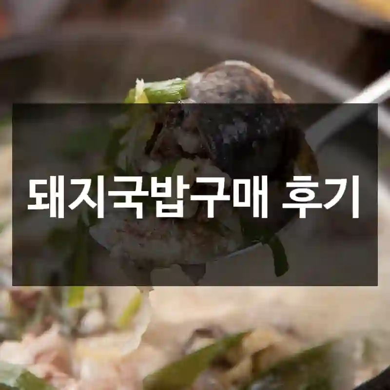 돼지국밥구매 후기