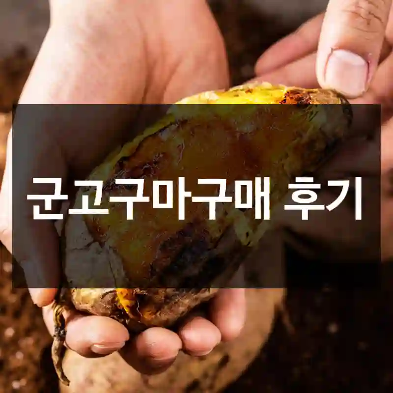 군고구마구매 후기