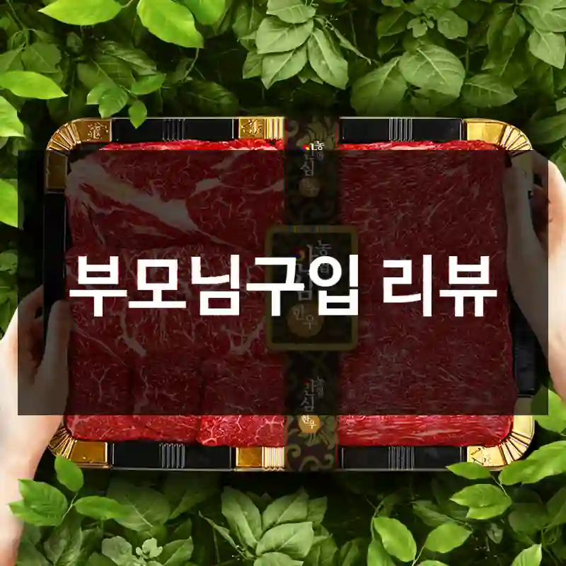 부모님구입 리뷰