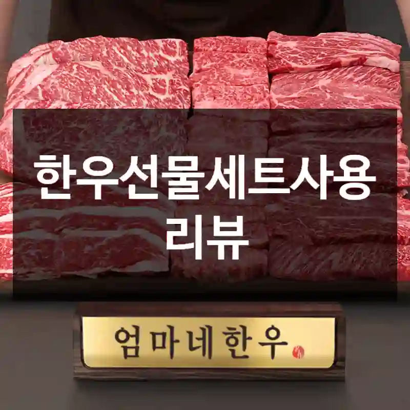 한우선물세트사용 리뷰