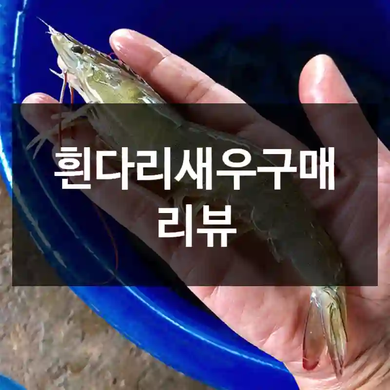 흰다리새우구매 리뷰