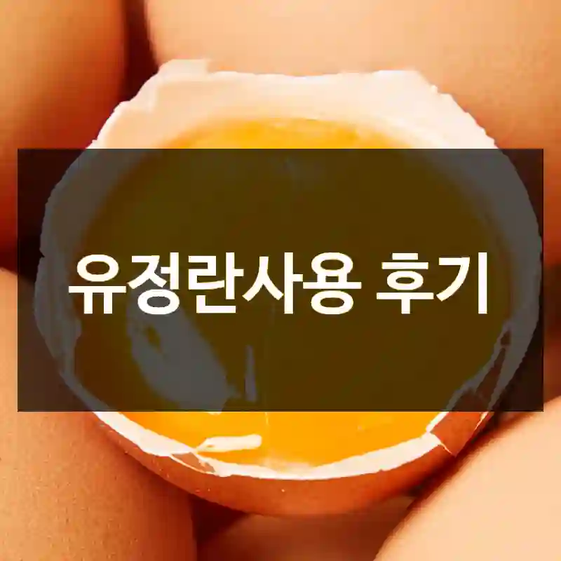 유정란사용 후기