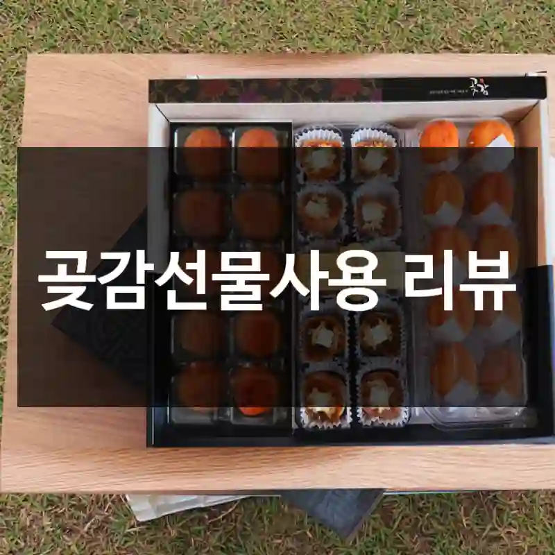 곶감선물사용 리뷰