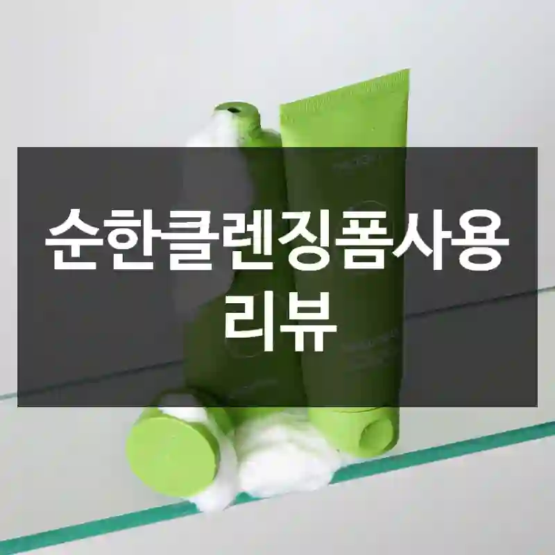 순한클렌징폼사용 리뷰