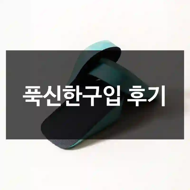 푹신한구입 후기