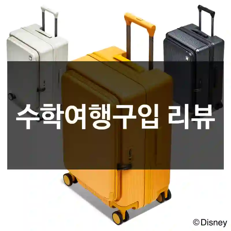 수학여행구입 리뷰