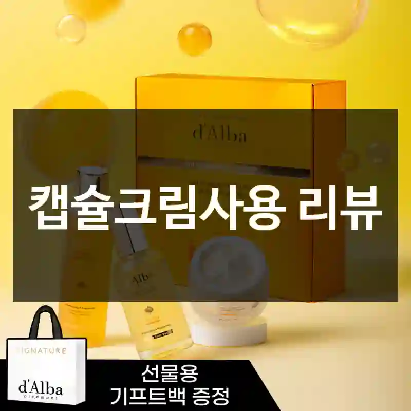 캡슐크림사용 리뷰