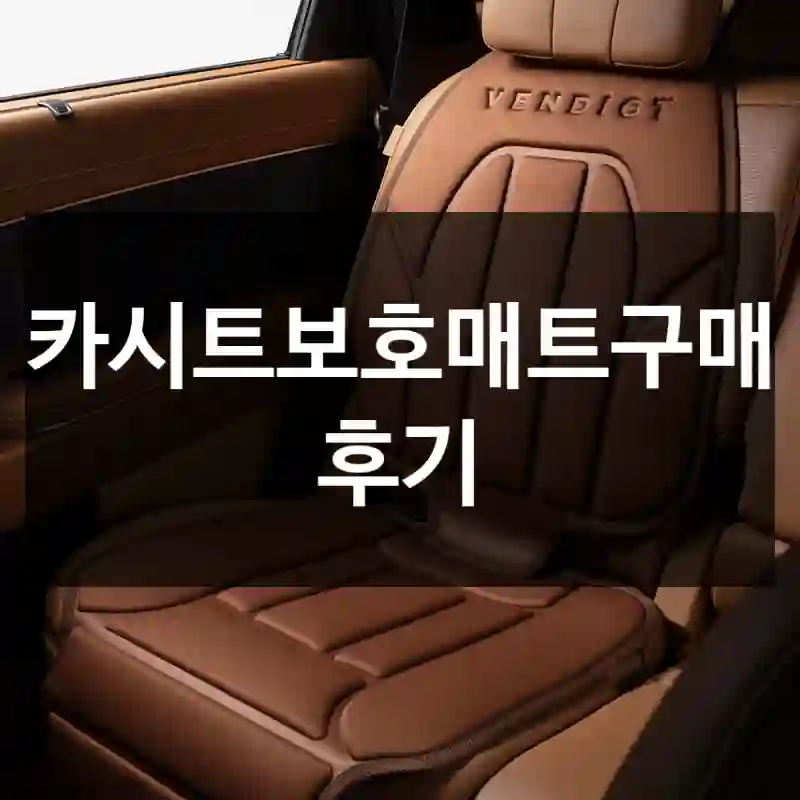 카시트보호매트구매 후기