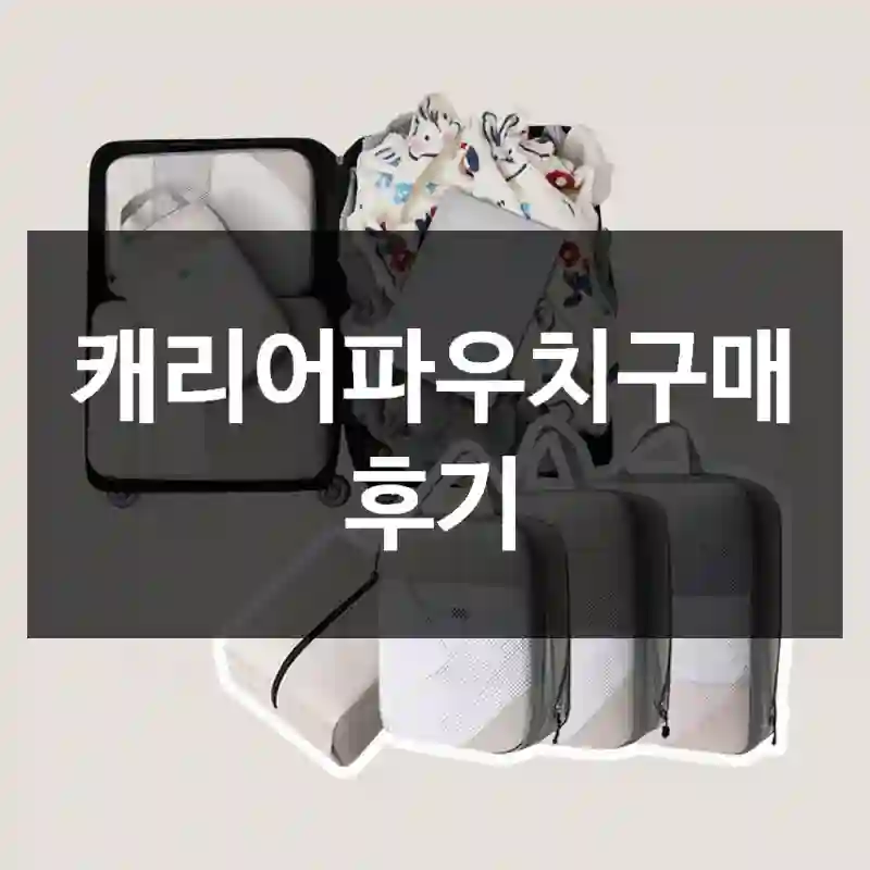 캐리어파우치구매 후기
