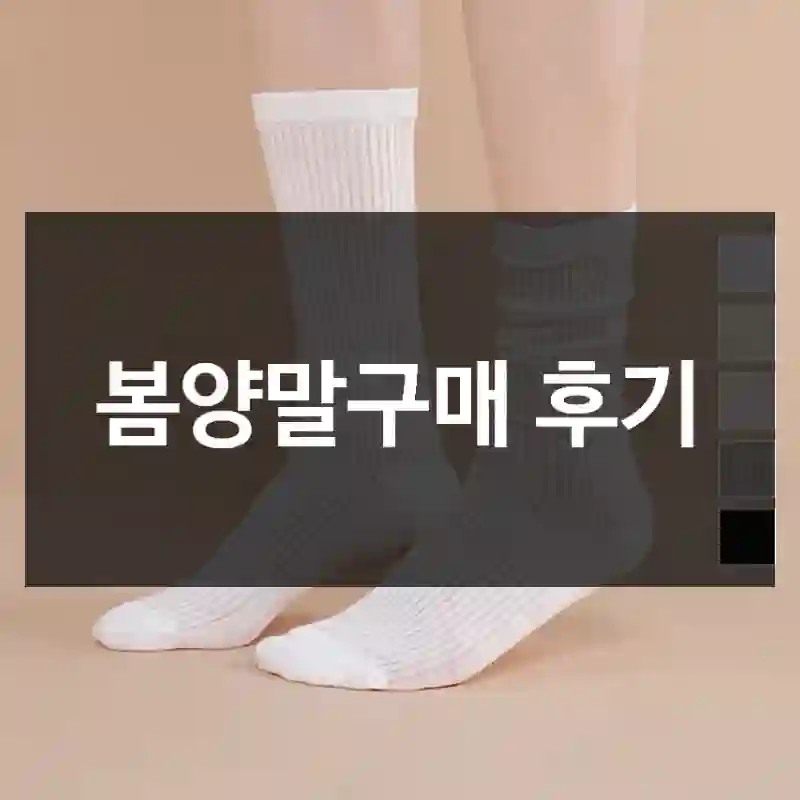 봄양말구매 후기
