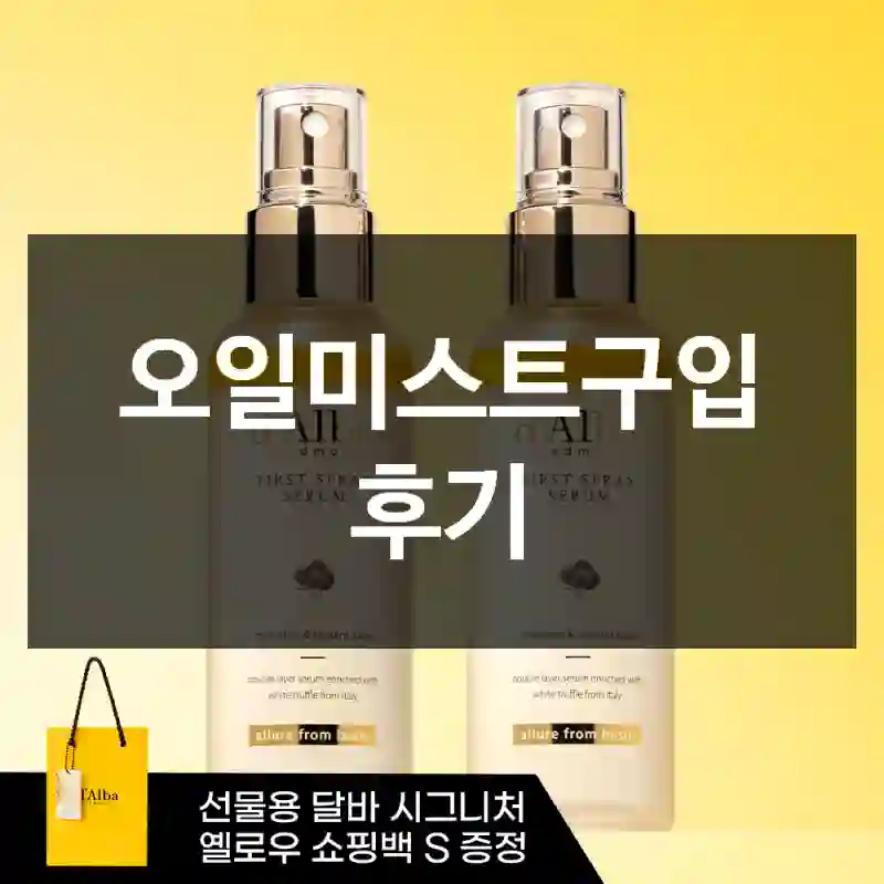 오일미스트구입 후기