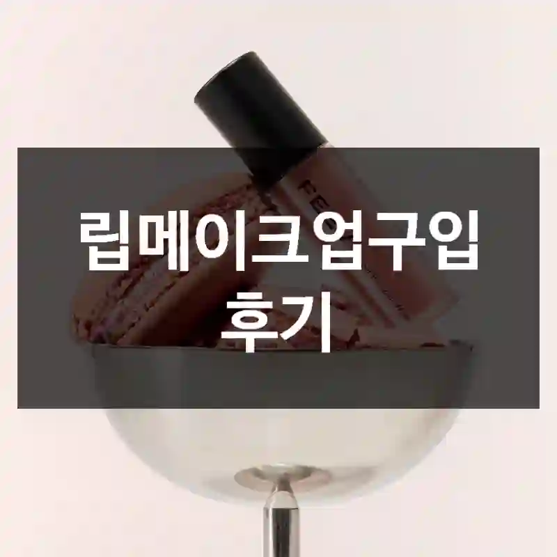 립메이크업구입 후기
